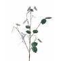 Ramo decorativo Lunaria LOUDIAS, verde petrolio, 90 cm