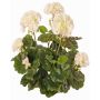 Geranio artificiale MIA su stelo, crema, 35cm, Ø6-9cm