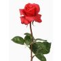Rosa finta AMELIE, rosso, 70cm, Ø8cm