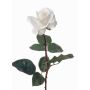 Rosa finta AMELIE, bianco, 70cm, Ø8cm