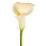 Calla artificiale MIRAC, crema, 75cm, 12x15cm