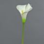 Calla artificiale MIRAC, color crema, 75 cm, 13x15 cm
