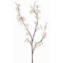 Ramo di melo sintetico LOUISA, con fiori, crema-bianco, 85cm