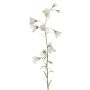 Campanula artificiale GISELA, bianco, 65cm, Ø5cm