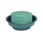 OASIS® Spugna umida Ideal cilindro in contenitore di plastica, verde, 5 cm, Ø12 cm