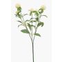 Ramo artificiale amaranto sferico DREWON, crema, 65 cm