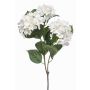 Ramo artificiale di ortensia SWINER, bianco, 100 cm