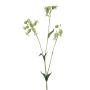Ramo artificiale silene PRANVERA con fiori, bianco-verde, 80 cm