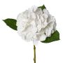 Fiore artificiale ortensia KLUVT, bianco, 50 cm