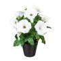 Fiore artificiale petunia VALMAR in vaso decorativo, bianco, 30 cm