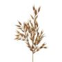 Ramo decorativo avena liscia SNOLHE con spighe, marrone, 65 cm