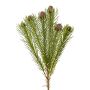 Ramo decorativo con puntaspilli Protea KROLI, marrone-verde, 50 cm