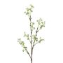 Ramo decorativo con gypsophila BRISLO, bianco, 65 cm