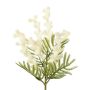 Ramo decorativo di mimosa KROVEN, bianco, 40 cm