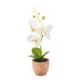 Orchidea artificiale Phalaenopsis LEONISA in vaso di terracotta, bianca, 20 cm