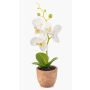 Orchidea artificiale Phalaenopsis LEONISA in vaso di terracotta, bianca, 20 cm