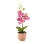 Orchidea artificiale Phalaenopsis LEONISA in vaso di terracotta, rosa, 20 cm