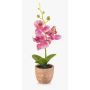 Orchidea artificiale Phalaenopsis LEONISA in vaso di terracotta, rosa, 20 cm
