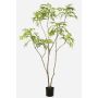 Albero artificiale Mahonie KLEANA, tronchi artificiali, verde, 210 cm