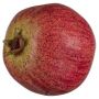 Melograno artificiale FASTYN, rosso, 8 cm, Ø 8 cm
