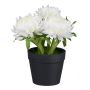 Fiore artificiale Echinops GLOMST in vaso decorativo, bianco, 14 cm