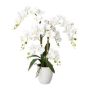 Orchidea Phalaenopsis artificiale LUKREN in vaso di ceramica, radici, bianca, 65 cm