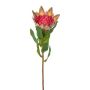 Fiore decorativo protea reale WANBA, verde-rosa, 50 cm