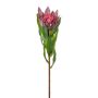 Fiore decorativo Protea reale WANBA, viola, 50 cm