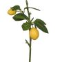 Ramo artificiale di limoni ADELAIDA con frutti, giallo, 35 cm