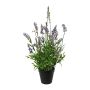 Fiore decorativo lavanda SMORLI in vaso decorativo, viola, 50 cm