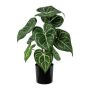Pianta artificiale Anthurium KURMA, verde-bianco, 35 cm