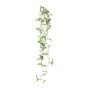 Decorazione da appendere Tradescantia zebrina FROLHE, bastoncino, verde-bianco, 100 cm