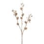 Decorazione ramo di cardo sferico FRONKA con perle, champagne, 50 cm