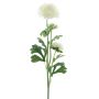 Fiore artificiale ranuncolo PROTO, crema, 65 cm