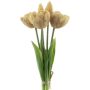 Mazzo di tulipani decorativi LANEA, champagne, 30 cm, Ø 15 cm
