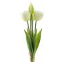 Mazzo di tulipani decorativi LANEA, bianchi, 30 cm, Ø 15 cm