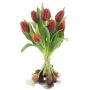 Mazzo di tulipani artificiali LONA con bulbi, rosso-nero, 35 cm, Ø 25 cm