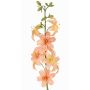 Giglio artificiale LABRICKA, rosa-giallo, 100cm, Ø9cm