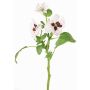 Ramo decorativo di violette SIANIE, bianco-rosso bordeaux, 35cm, Ø5-6,5cm