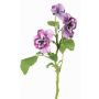 Ramo decorativo di violette SIANIE, viola-blu-bianco, 35cm, Ø5-6,5cm