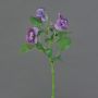 Ramo decorativo di violette SIANIE, viola-bianco, 35 cm, Ø 4-6 cm