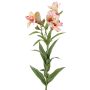 Ramo decorativo di alstroemeria AUBERTA, rosa-rosa-giallo, 75 cm, Ø 6 cm