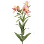 Ramo decorativo di alstroemeria AUBERTA, rosa-rosa-giallo, 75 cm, Ø 6 cm
