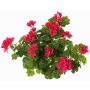 Fiore artificiale geranio MIA su bastoncino, fucsia, 40cm, Ø5-8cm