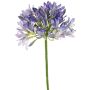 Fiore artificiale Agapanthus KAFENA, blu-lilla, 90cm, Ø20cm