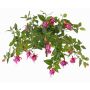 Fucsia artificiale KROUSIA, bastoncino, fucsia-viola, 30cm, Ø5cm