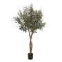 Olivo artificiale GÖTZIS, frutti, tronchi veri, 165 cm
