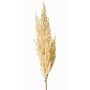 Ramo decorativo di sorgo WADDY con spighe, crema, 80cm