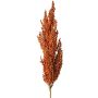 Ramo decorativo di sorgo WADDY con spighe, arancione, 80 cm