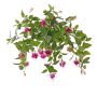 Fucsia artificiale KROUSIA, bastoncino, rosa-viola, 30 cm, Ø 5 cm